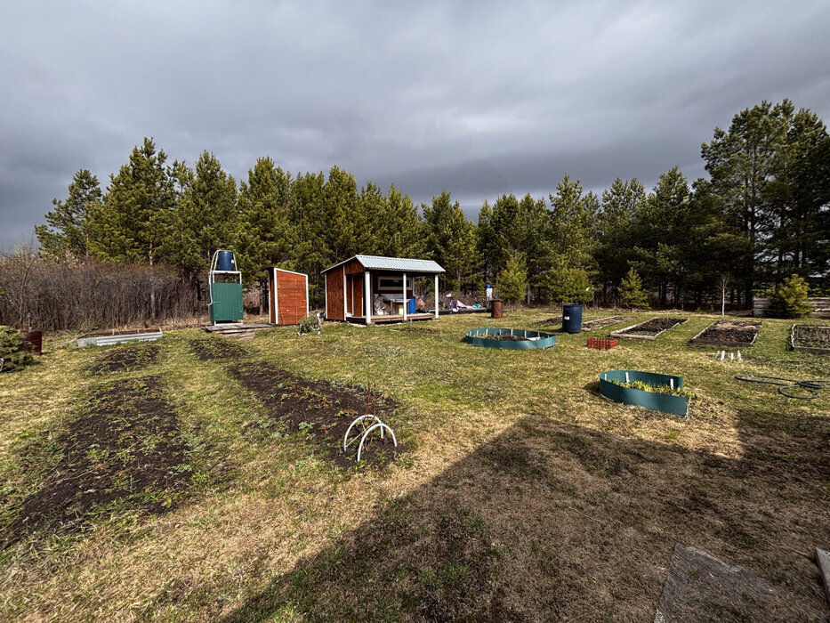 д. Измоденова, СНТ Дальний (городской округ Белоярский) - фото сада (1)