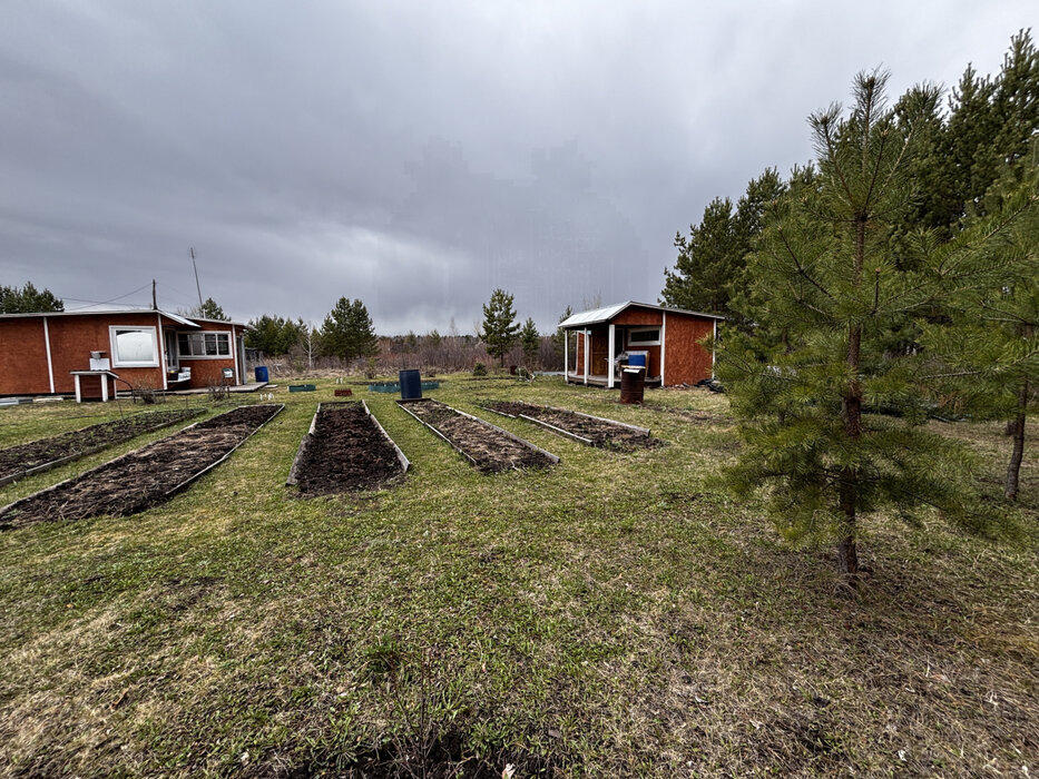 д. Измоденова, СНТ Дальний (городской округ Белоярский) - фото сада (2)