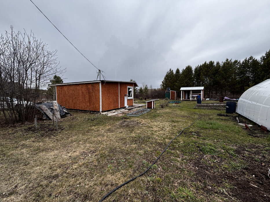 д. Измоденова, СНТ Дальний (городской округ Белоярский) - фото сада (8)