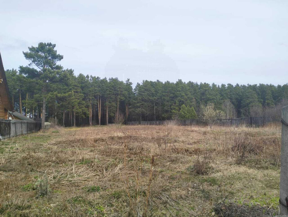 с. Никольское (г.о. Сысертский), ул. Октябрьская, 8 (городской округ Сысертский) - фото земельного участка (1)