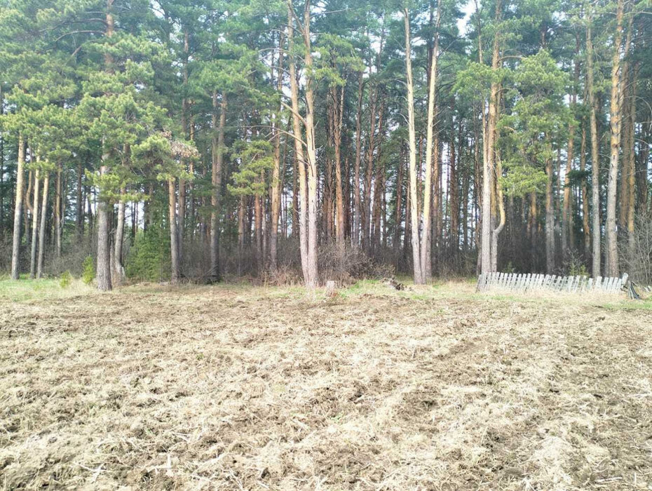 с. Никольское (г.о. Сысертский), ул. Октябрьская, 8 (городской округ Сысертский) - фото земельного участка (3)