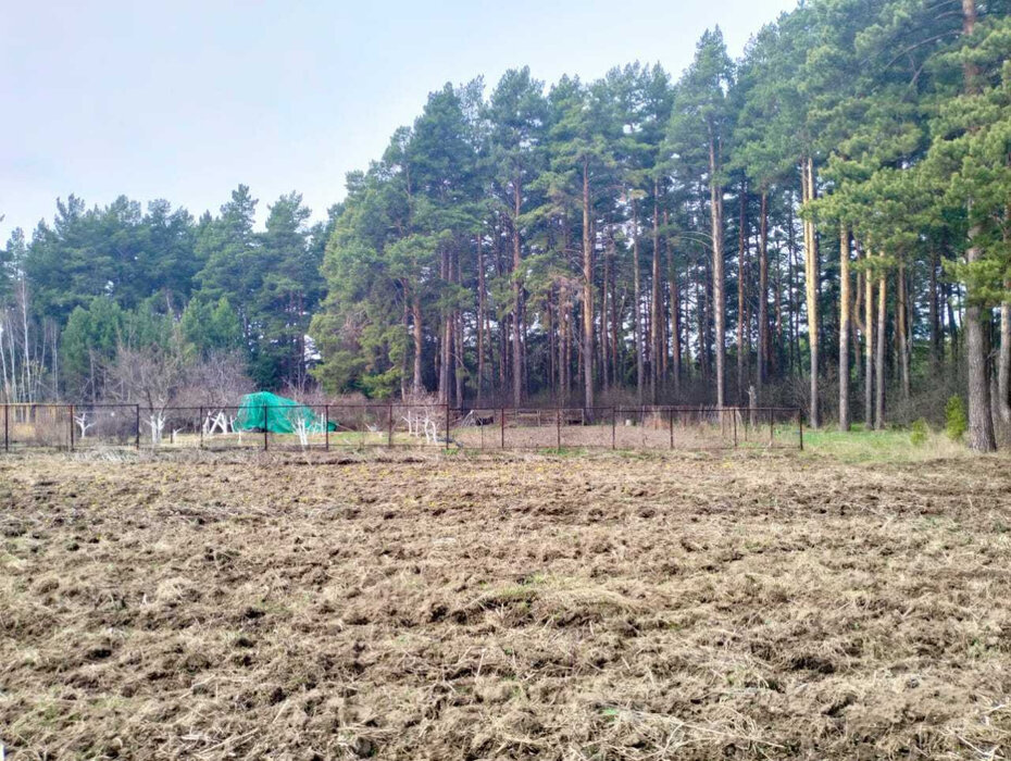 с. Никольское (г.о. Сысертский), ул. Октябрьская, 8 (городской округ Сысертский) - фото земельного участка (6)