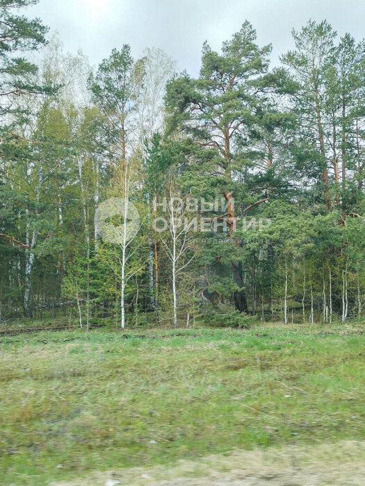 Екатеринбург, ул. Красная (Горный щит) - фото земельного участка (1)