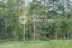 Екатеринбург, ул. Красная (Горный щит) - фото земельного участка