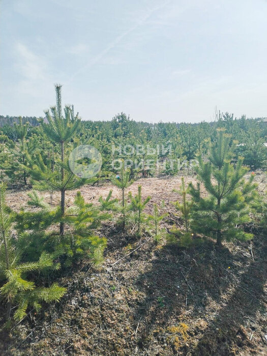 Екатеринбург, ул. Красная (Горный щит) - фото земельного участка (3)