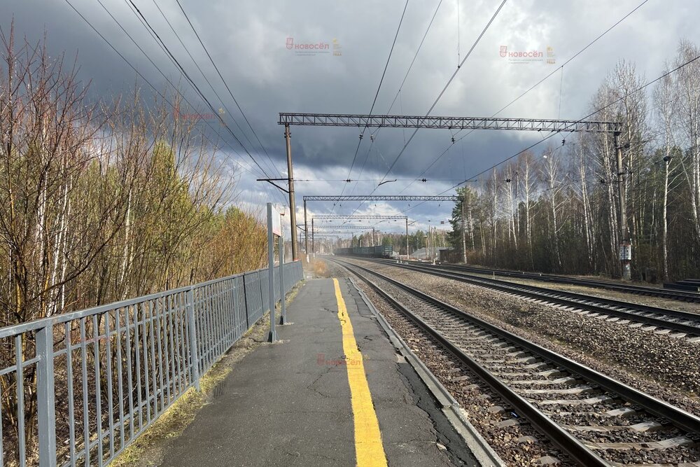 п. Аять, СНТ Ласточка, уч. 33 (городской округ Невьянский) - фото сада (1)