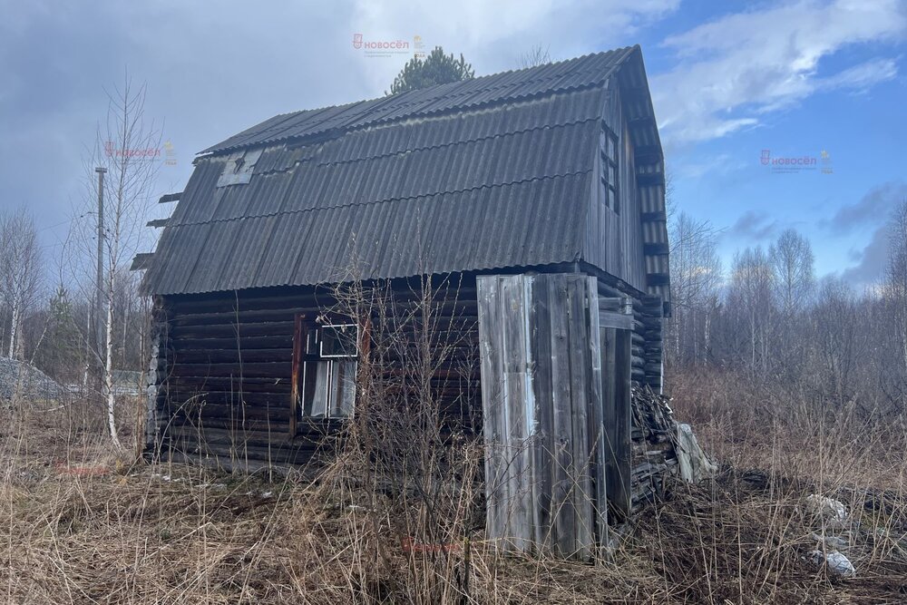 п. Аять, СНТ Ласточка, уч. 33 (городской округ Невьянский) - фото сада (2)