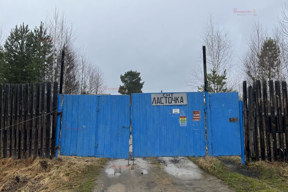 п. Аять, СНТ Ласточка, уч. 33 (городской округ Невьянский) - фото сада (3)