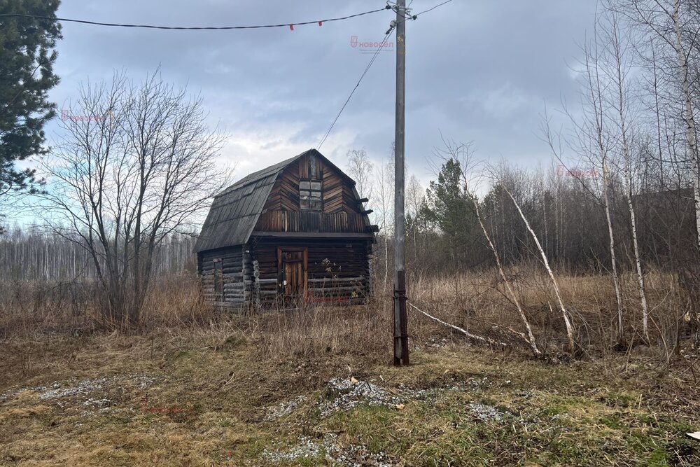 п. Аять, СНТ Ласточка, уч. 33 (городской округ Невьянский) - фото сада (4)
