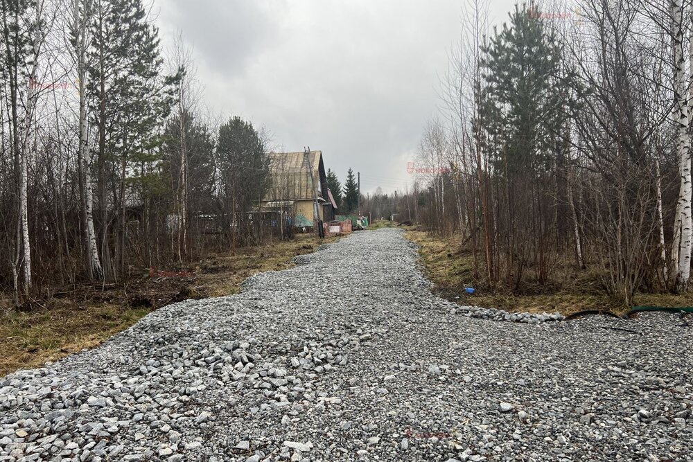 п. Аять, СНТ Ласточка, уч. 33 (городской округ Невьянский) - фото сада (6)