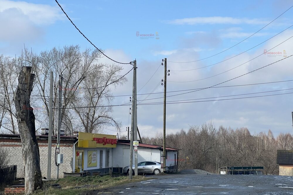 п. Аять, СНТ Ласточка, уч. 33 (городской округ Невьянский) - фото сада (7)
