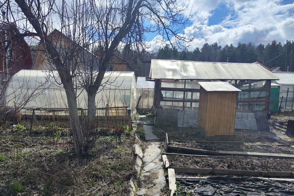 п. Зеленый бор, к/с Виктория (городской округ Верхняя Пышма) - фото сада (5)