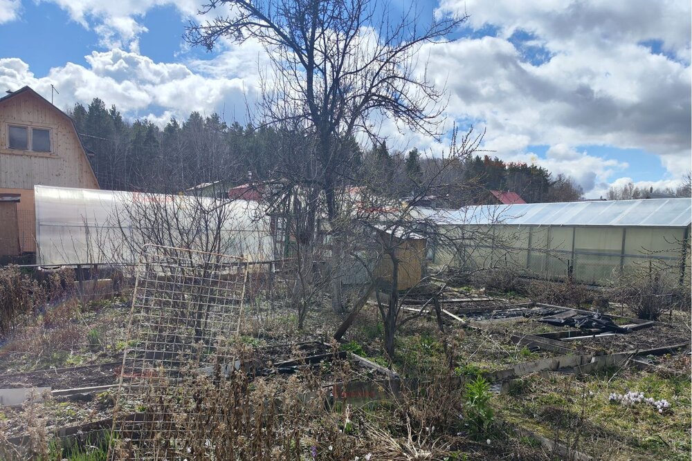 п. Зеленый бор, к/с Виктория (городской округ Верхняя Пышма) - фото сада (6)