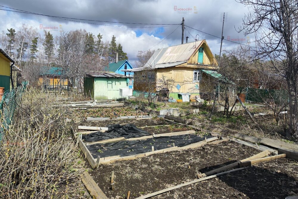 п. Зеленый бор, к/с Виктория (городской округ Верхняя Пышма) - фото сада (7)