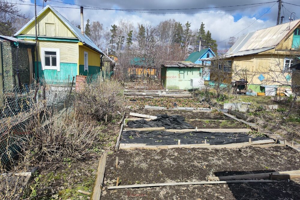 п. Зеленый бор, к/с Виктория (городской округ Верхняя Пышма) - фото сада (8)