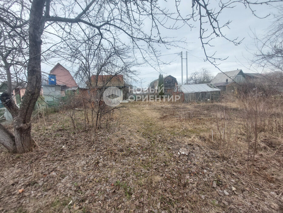 Екатеринбург, СНТ № 5 УЗХМ, уч. 129 (Химмаш) - фото сада (7)