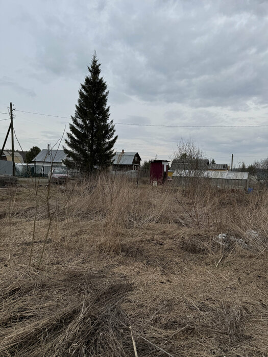 Екатеринбург, тер. СНТ. Юбилейный (Палкинский торфяник) - фото сада (2)