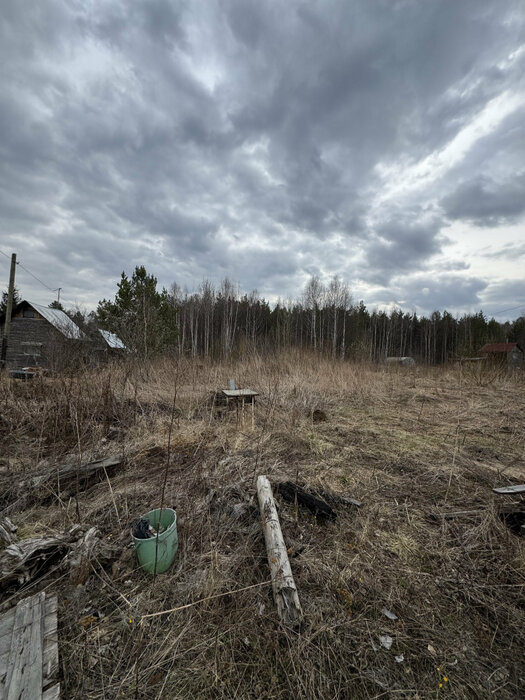 Екатеринбург, тер. СНТ. Юбилейный (Палкинский торфяник) - фото сада (3)