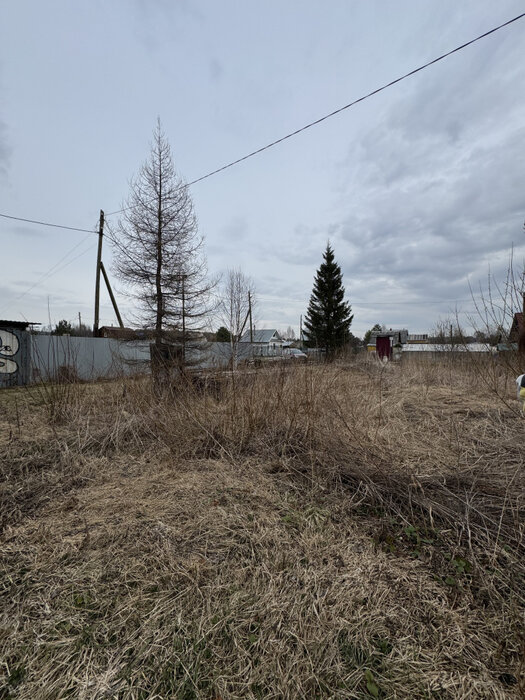 Екатеринбург, тер. СНТ. Юбилейный (Палкинский торфяник) - фото сада (4)