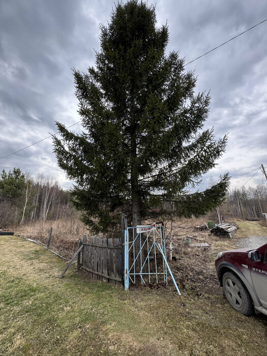 Екатеринбург, тер. СНТ. Юбилейный (Палкинский торфяник) - фото сада (5)