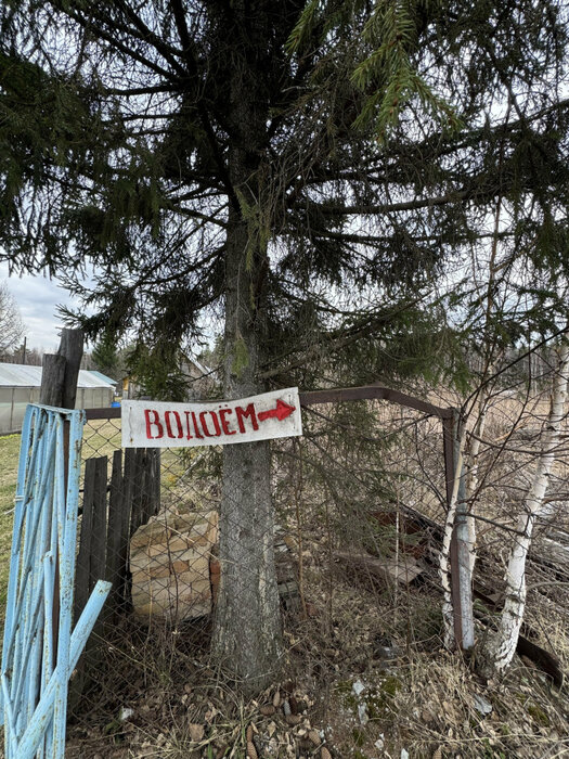 Екатеринбург, тер. СНТ. Юбилейный (Палкинский торфяник) - фото сада (6)