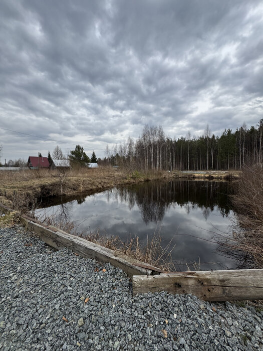 Екатеринбург, тер. СНТ. Юбилейный (Палкинский торфяник) - фото сада (7)