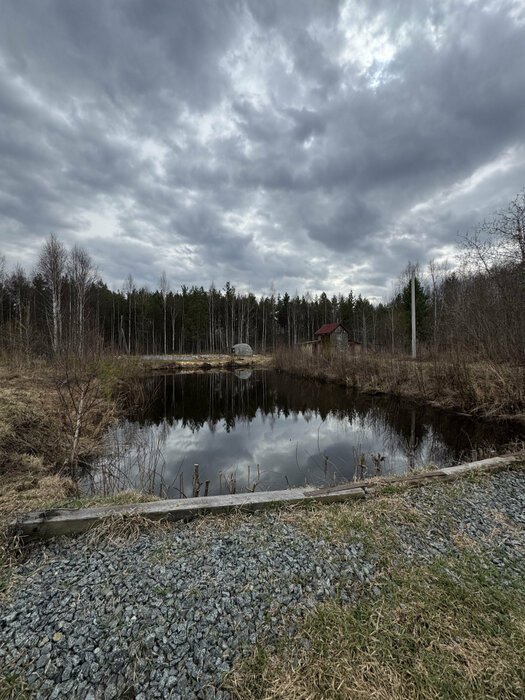 Екатеринбург, тер. СНТ. Юбилейный (Палкинский торфяник) - фото сада (8)