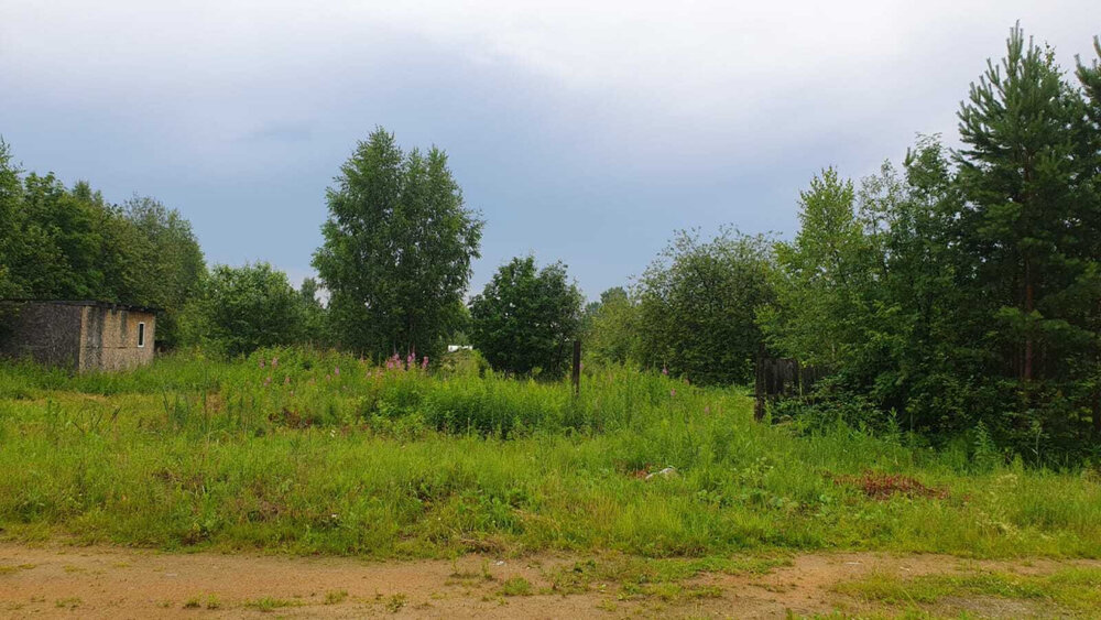 п. Ключевск, ул. Трудовая, 31 г (городской округ Березовский) - фото земельного участка (2)