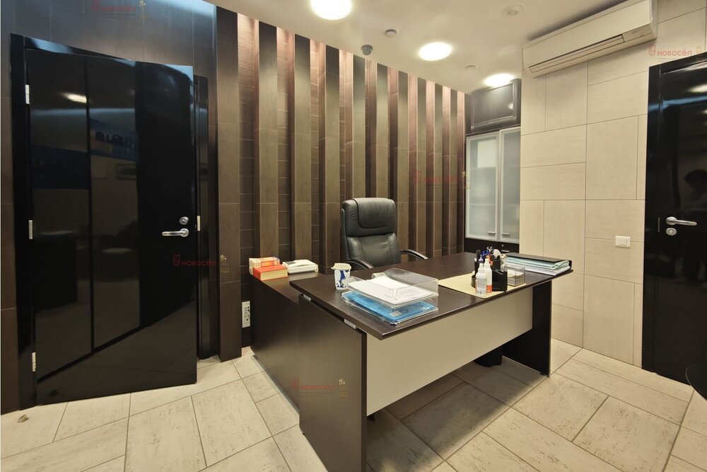 Екатеринбург, ул. Мамина-Сибиряка, 52 (Центр) - фото офисного помещения (4)