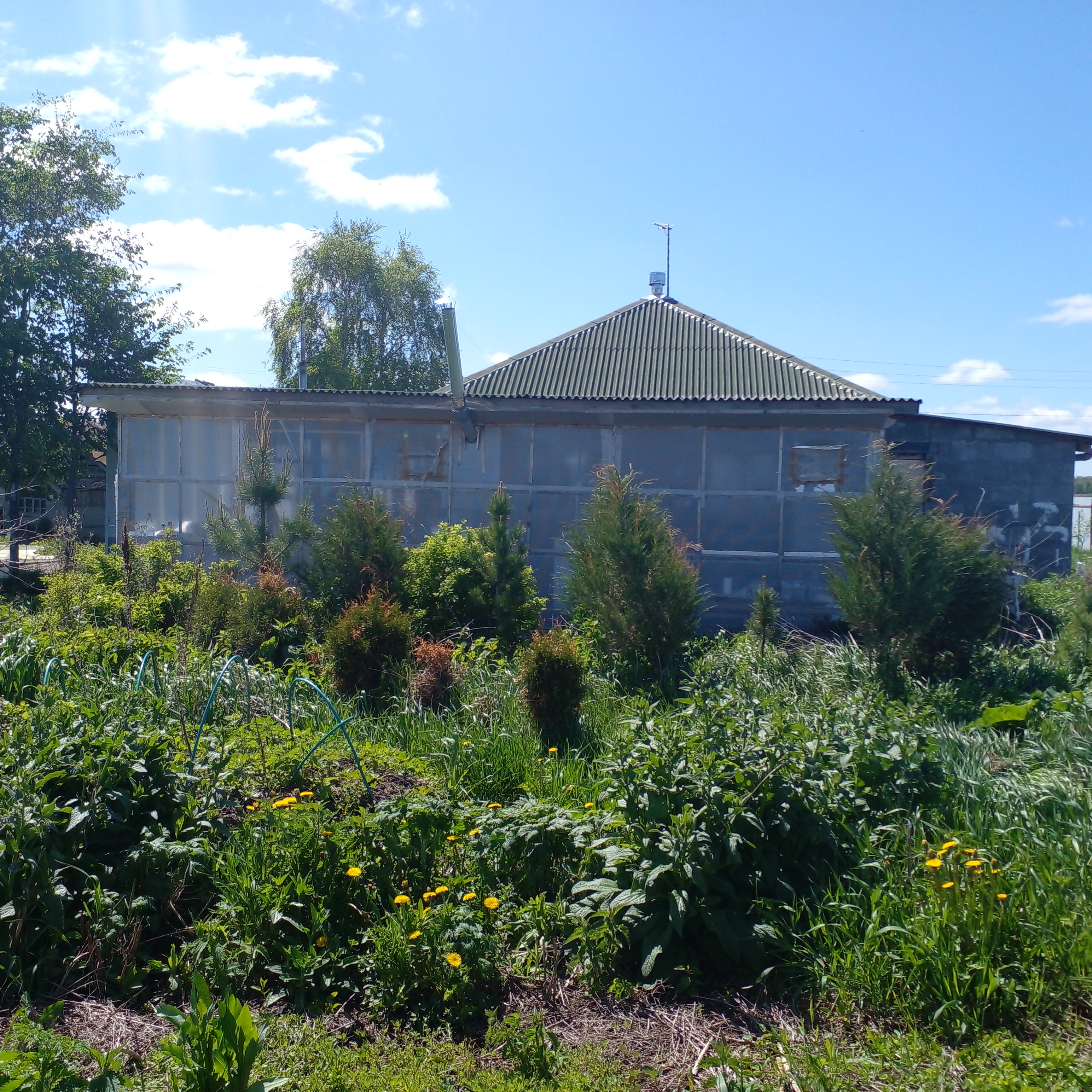 с. Щипачи, ул. Рабочая, 53 (городской округ Богданович) - фото дачи (1)