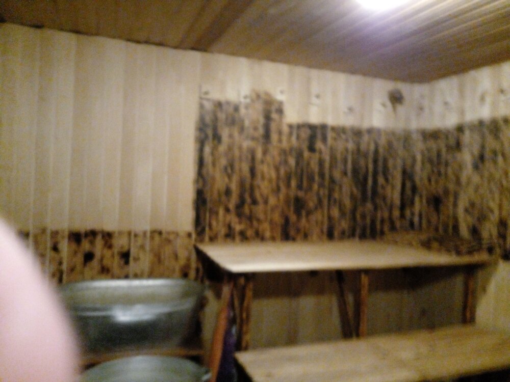 с. Щипачи, ул. Рабочая, 53 (городской округ Богданович) - фото дачи (5)