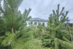 пгт. Верхнее Дуброво, ул. Заречная, 38 (городской округ Верхнее Дуброво) - фото коттеджа