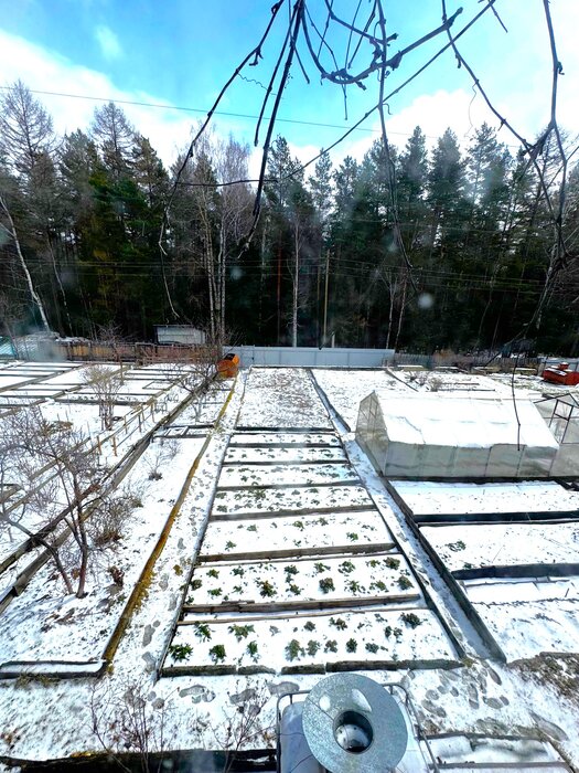 п. Мурзинка (г.о. Новоуральский), СНТ Строитель-2 (городской округ Новоуральский) - фото сада (8)