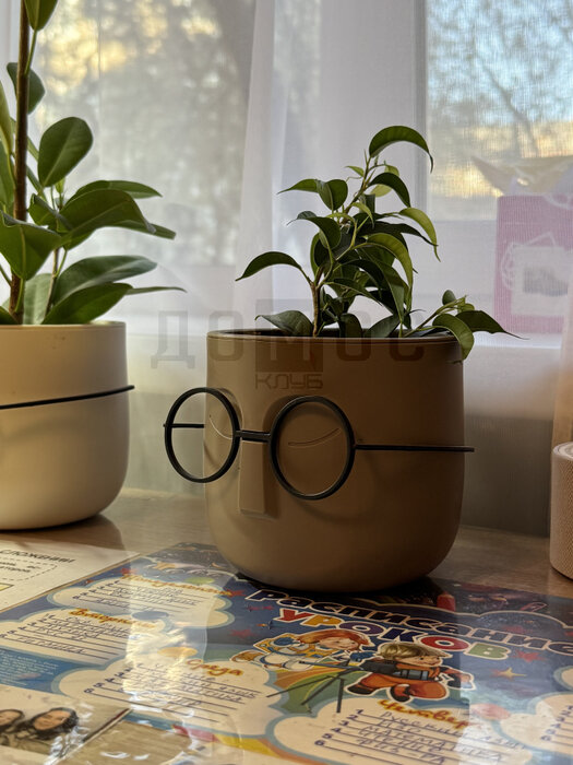 Екатеринбург, ул. Отто Шмидта, 60 (Автовокзал) - фото квартиры (1)