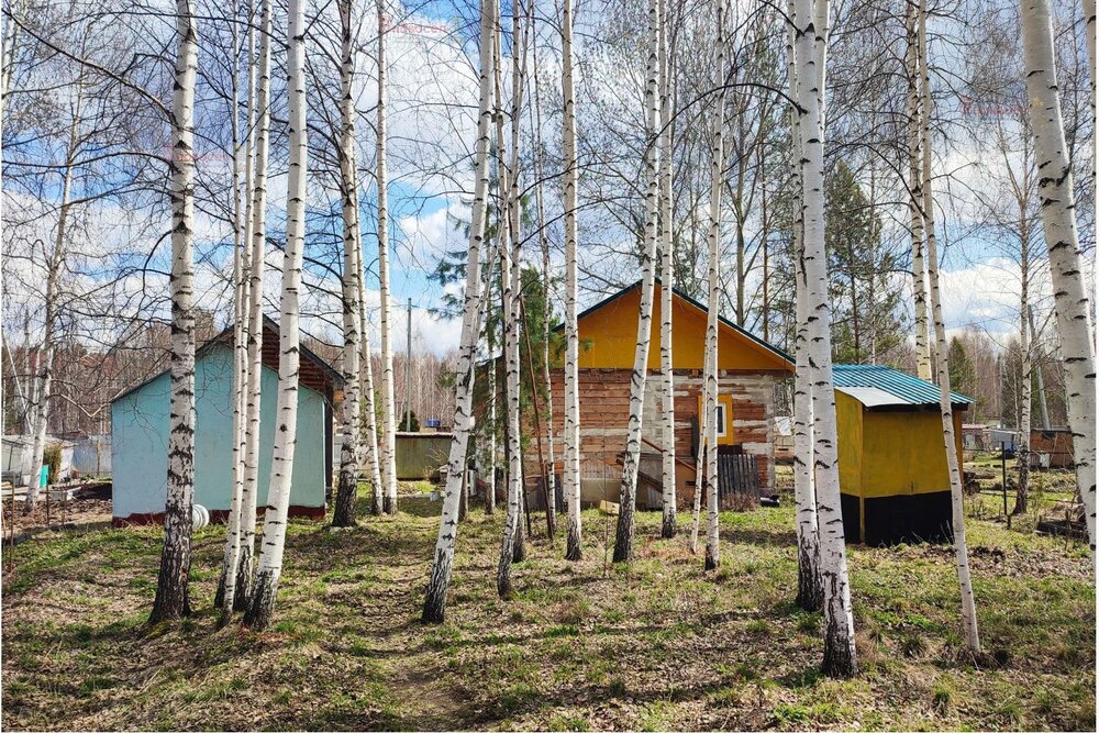 Екатеринбург, СТ Мечта ОДКБ-1 - фото сада (4)