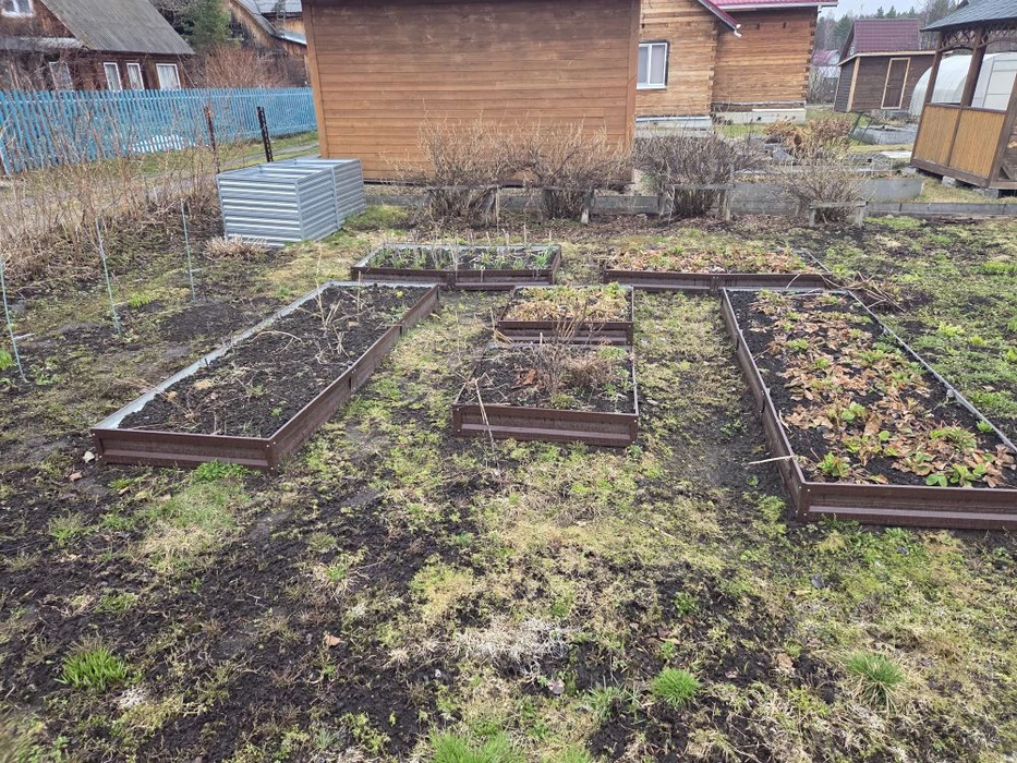 п. Вилюй, коллективный сад № 1 ААГОК, уч. 1 (городской округ Горноуральский) - фото сада (6)