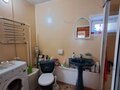 Продажа садового участка: п. Гусевка, СОТ Заря-5, уч. 169 (городской округ Ревда) - Фото 5
