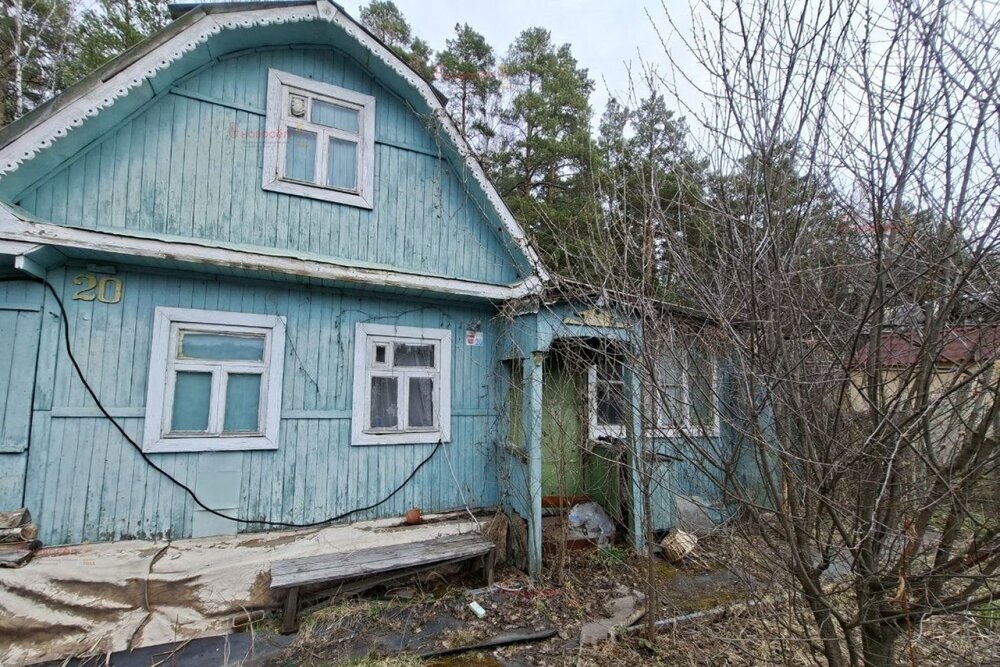 Екатеринбург, коллективный сад № 39 Садовод, уч. 19 - фото сада (2)