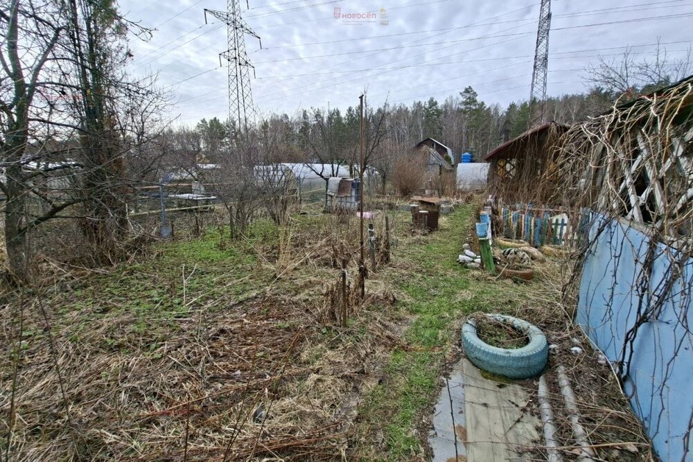 Екатеринбург, коллективный сад № 39 Садовод, уч. 19 - фото сада (3)