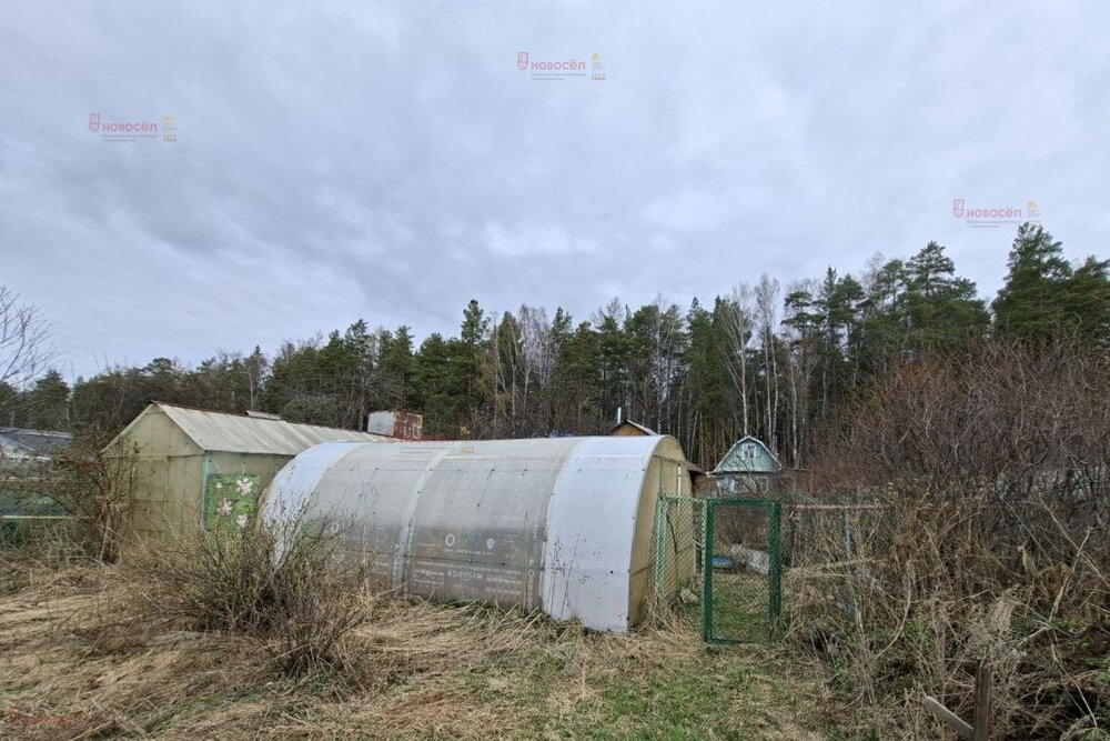 Екатеринбург, коллективный сад № 39 Садовод, уч. 19 - фото сада (4)