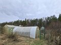 Продажа садового участка: Екатеринбург, коллективный сад № 39 Садовод, уч. 19 - Фото 4