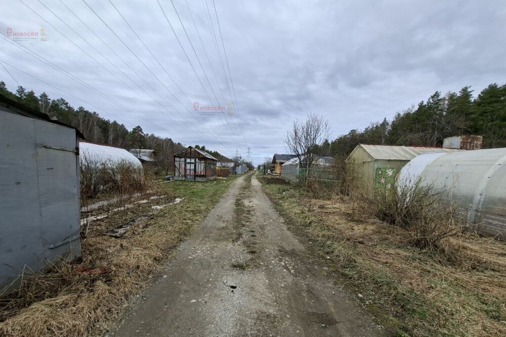 Екатеринбург, коллективный сад № 39 Садовод, уч. 19 - фото сада (5)
