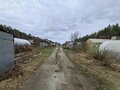 Продажа садового участка: Екатеринбург, коллективный сад № 39 Садовод, уч. 19 - Фото 5