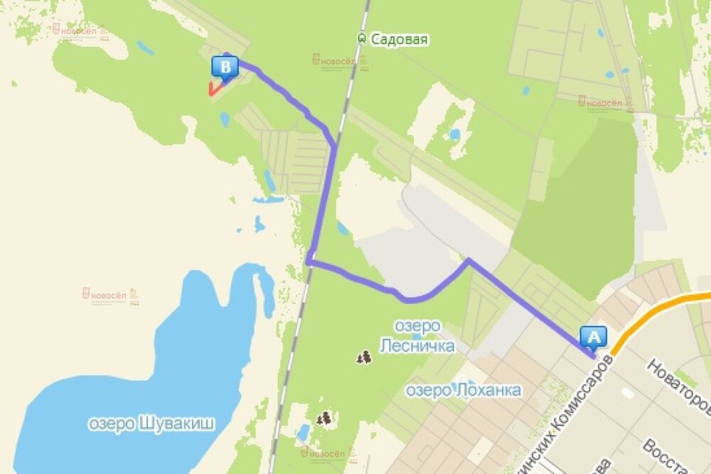 Екатеринбург, коллективный сад № 39 Садовод, уч. 19 - фото сада (8)