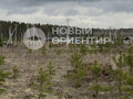 Продажа земельного участка: с. Курганово, ул. Константиновская, 16 (городской округ Полевской) - Фото 3