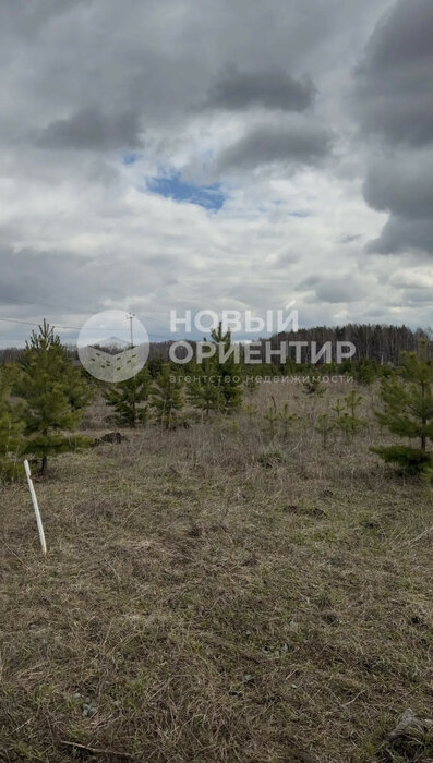 с. Курганово, ул. Константиновская, 16 (городской округ Полевской) - фото земельного участка (5)