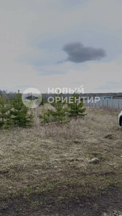 с. Курганово, ул. Константиновская, 16 (городской округ Полевской) - фото земельного участка (6)