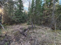 Продажа земельного участка: г. Нижние Серги, ул. Пролетарская, 95 (Нижнесергинский район) - Фото 8