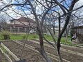Продажа садового участка: п. Гагарский, к/с Гагарский (городской округ Белоярский) - Фото 8