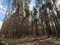 Продажа земельного участка: д. Токарево, ул. деревня токарево (городской округ Сысертский) - Фото 4